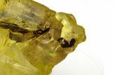 Vibrant Sulfur Crystal Cluster - Italy #207713-2